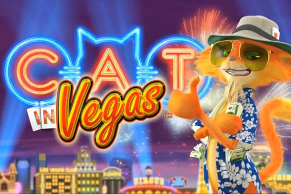 Cat in Vegas